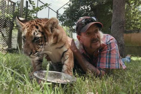 gostream tiger king|Tiger King .